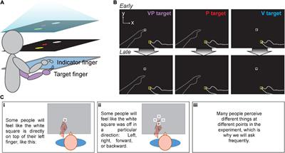 Conscious awareness of a visuo-proprioceptive mismatch: Effect on cross-sensory recalibration